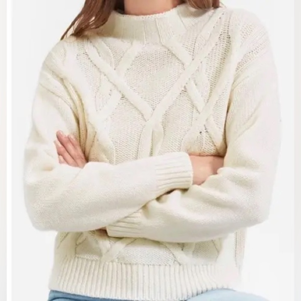 Everlane The Cable Knit Mockneck Sweater